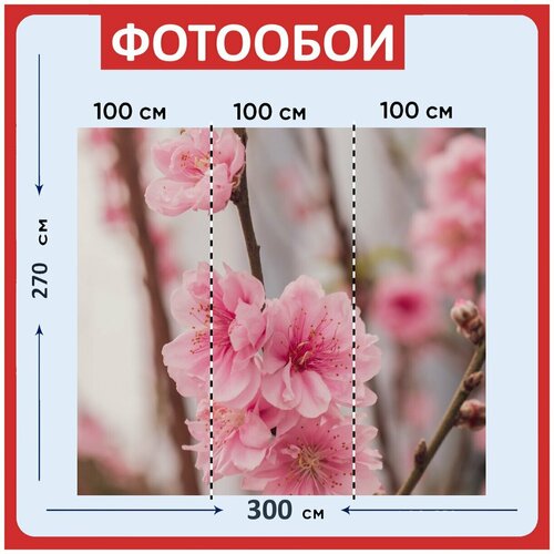 Фотообои Персиковый цветок весна персик 300x270 см флизелиновыена стену 3940₽