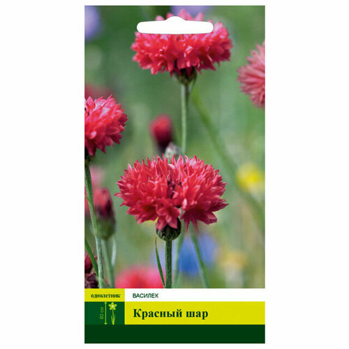 Семена василек красный шар 05г 449₽