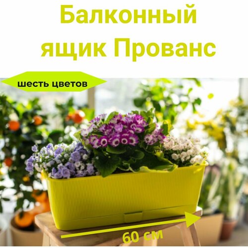 Балконный ящик Прованс с поддоном 60см h-13см d-17 9л 1134₽