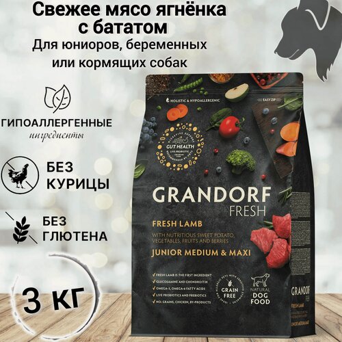 Изображение товара Сухой корм для собак Grandorf FRESH JUNIOR MED&MAXI, Мясо ягненка с бататом для юниоров средних и крупных пород, 3 кг