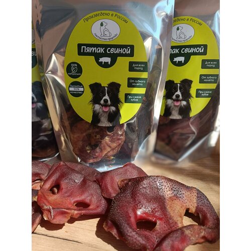 Пятаки свиные