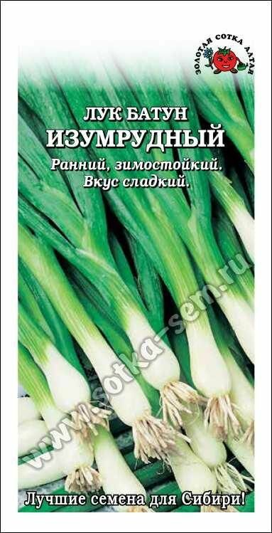 Семена лука батун Золотая сотка Алтая 