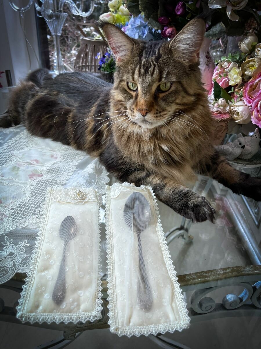 Конверты для сервировки Ajourele, кружевные, кремовые, для столовых приборов, застежка на кнопке