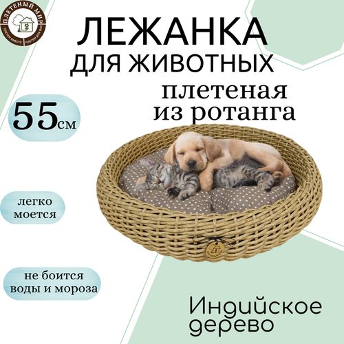 Лежанка для животных с подушкой 55см Индийское дерево для кошки, для собаки, плетеная из полиротанга
