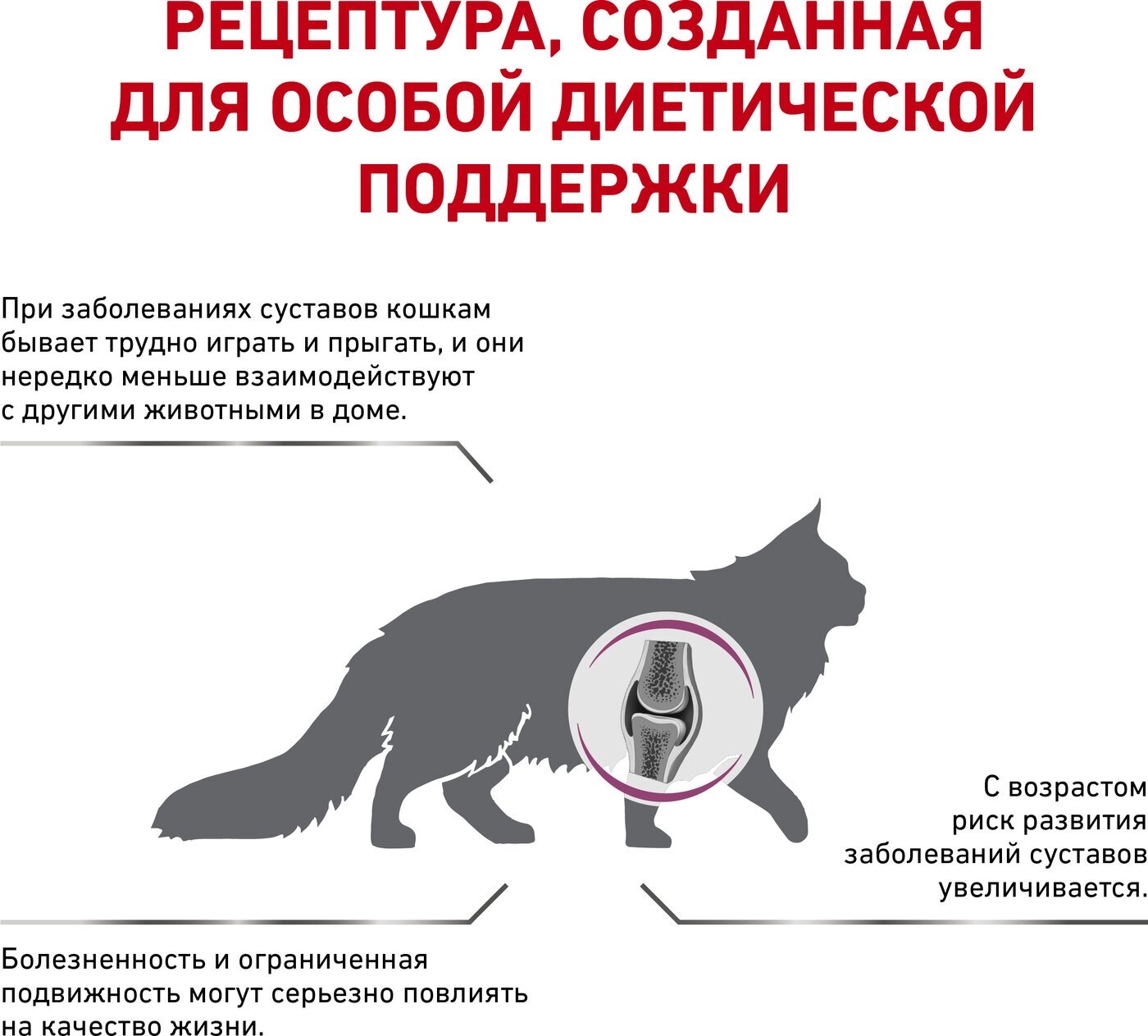 Препараты При Воспалении Опорно-Двигательного Аппарата Сухой корм для кошек Royal Canin Mobility Feline при заболеваниях суставов, с птицей, 2 кг
