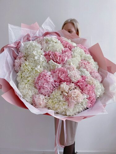 Изображение товара Букет "пышное облако" из колумбийских гортензий 25 шт. с экспресс-доставкой до двери FlowersGo
