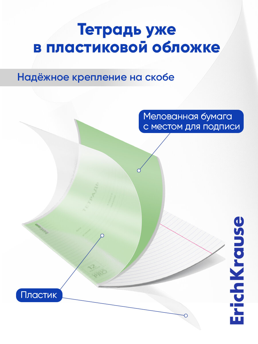 Тетрадь школьная ученическая с пластиковой обложкой ErichKrause Классика CoverPrо fizzy, А5+, 12 л, линейка разноцветная — фото 5