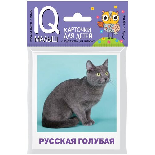 фото Малунова м.в. "умный малыш. породы кошек. набор карточек для детей" айрис-пресс