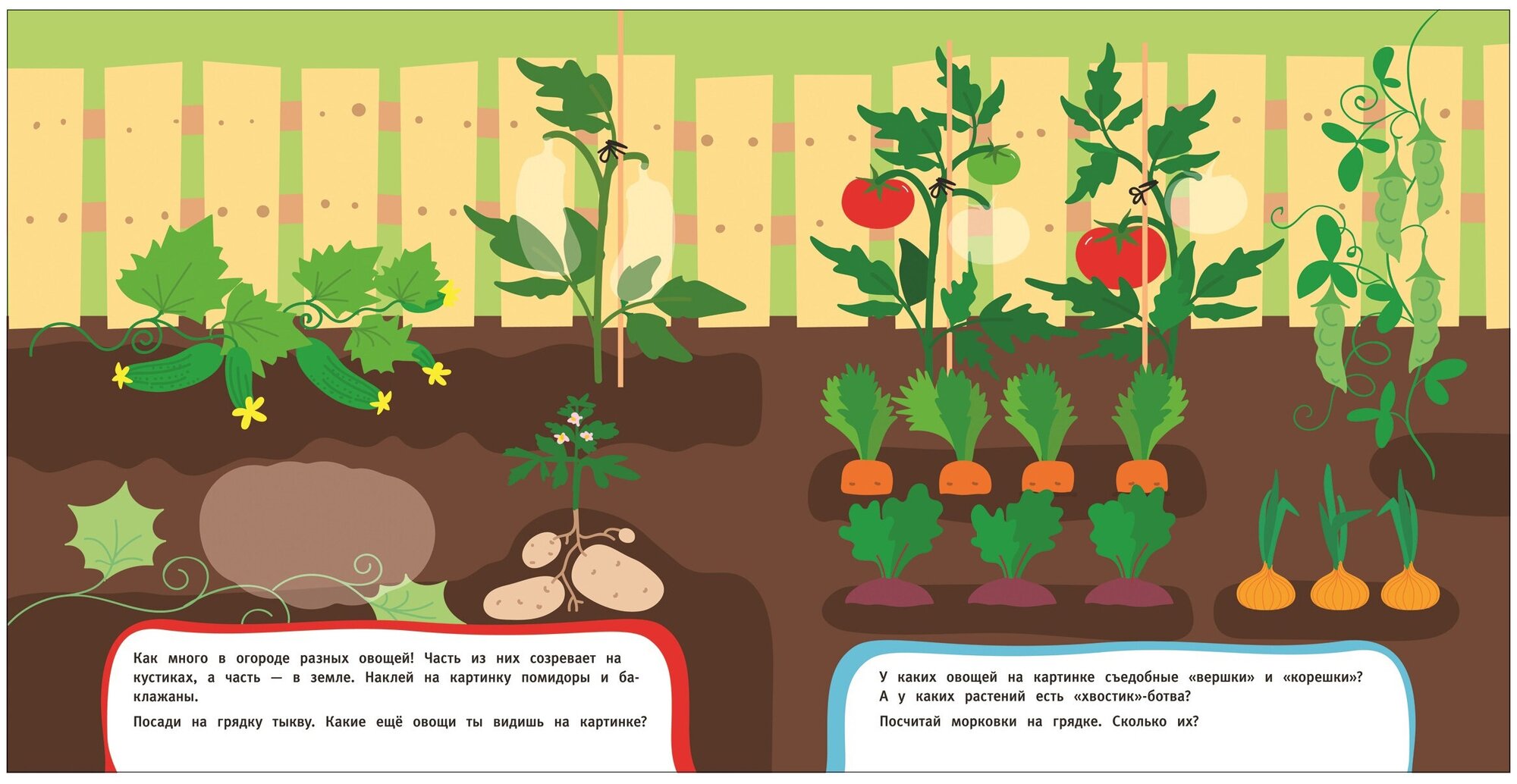 Где растут овощи картинки для детей