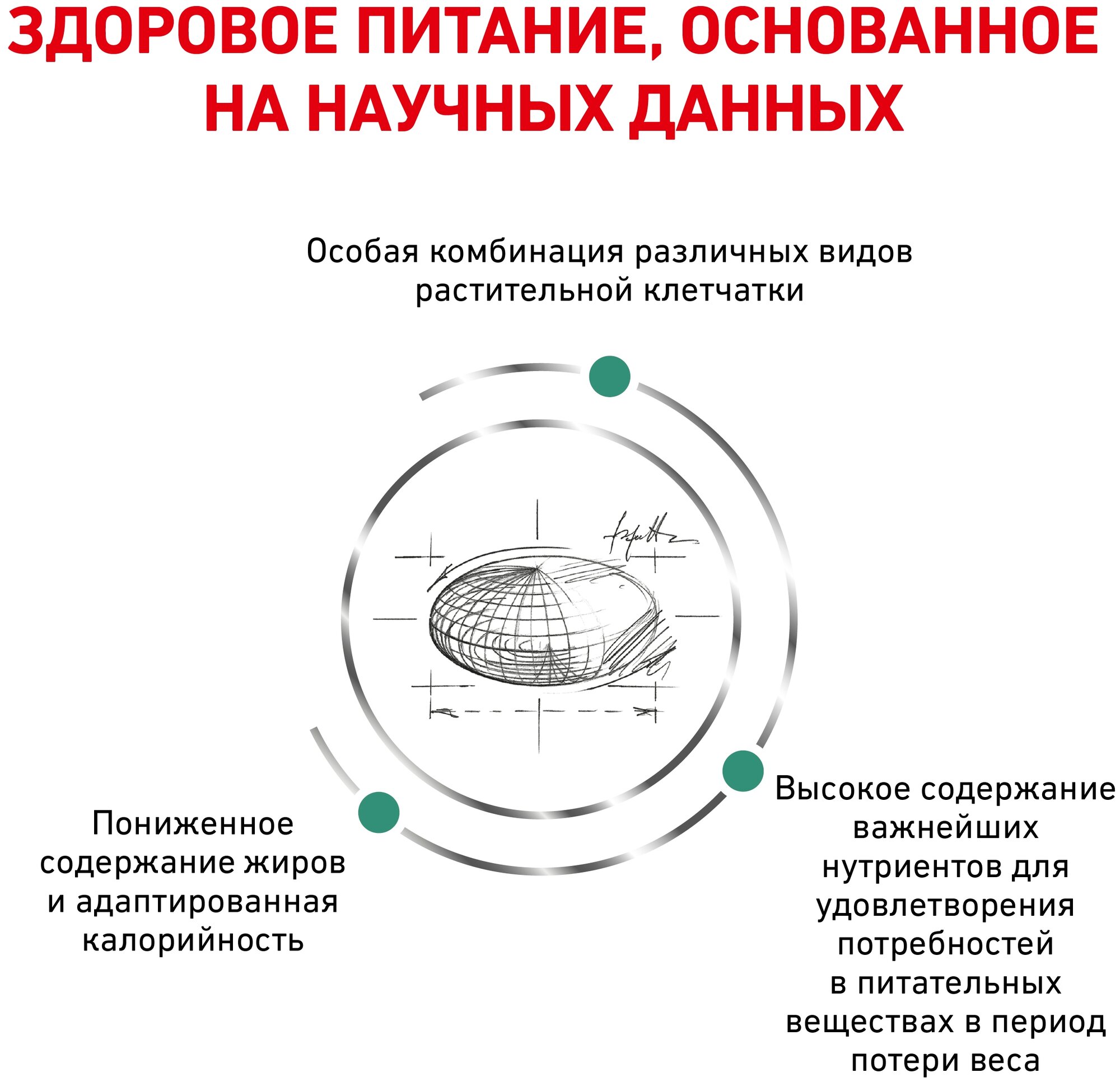 Сухой корм для кошек Royal Canin Satiety Weight Management SAT34, для снижения веса 400 г - фотография № 9