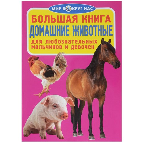 фото Завязкин о.в., турбанист д.с. "мир вокруг нас. большая книга. домашние животные" crystal book