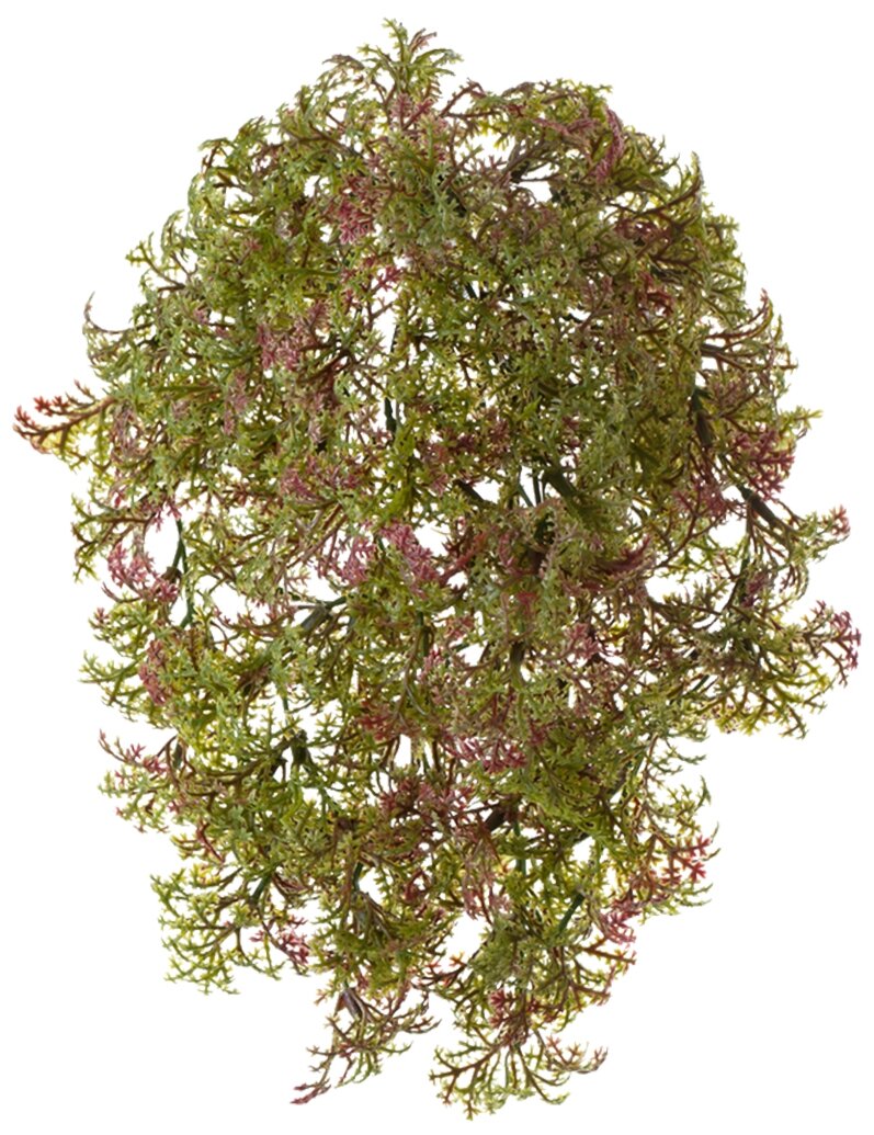Искусственное растение Ватер-грасс (Рясковый мох) Gerard de ros