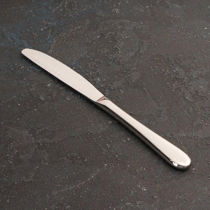 Нож кухонный Wilmax England Stella, h 22 см, цвет серебряный (WL-999100 / 1B)