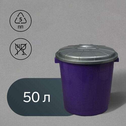 Бак хозяйственно-бытовой Колор 50 л с крышкой цвет микс 3209₽