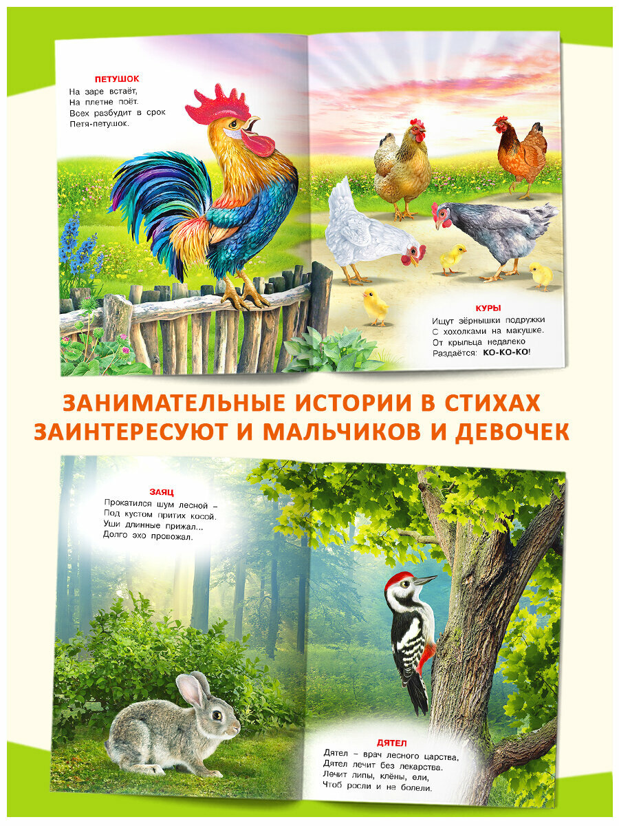 Стихи для детей Издательство Фламинго В гостях у животных Комплект из 4 книг: Животные планеты, Кто живет в Африке, Лесные соседи, Всех разбудит петушок
