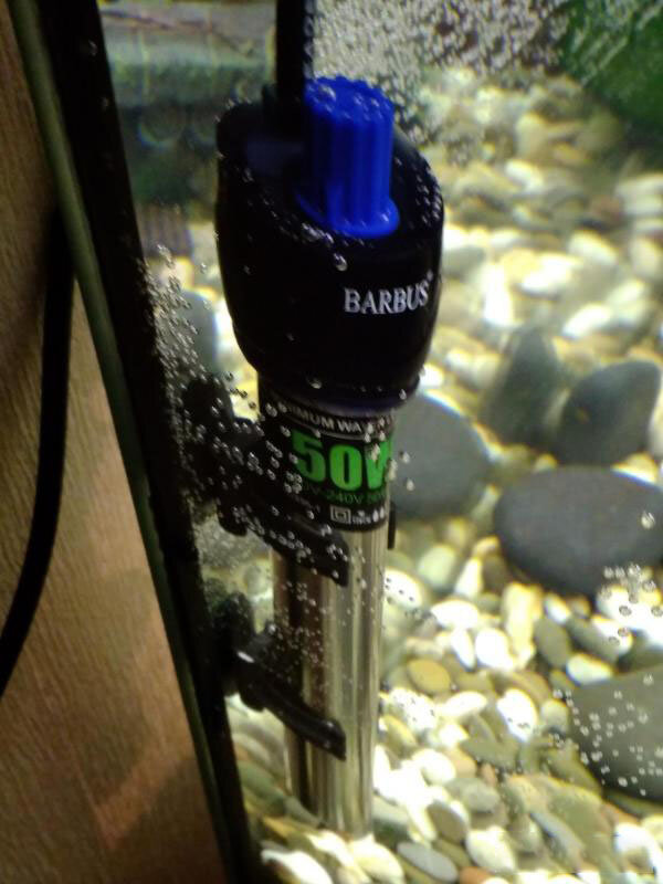 Как установить нагреватель для аквариума