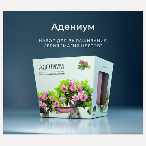 Изображение товара Магия Цветов mf-001-OY55 Набор для выращивания адениумов и ухода за растениями для дома и сада