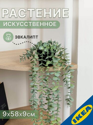 Изображение товара Искусственное растение в горшке Эвкалипт 9х58х9 см подвесной зелёный IKEA FEJKA фейка