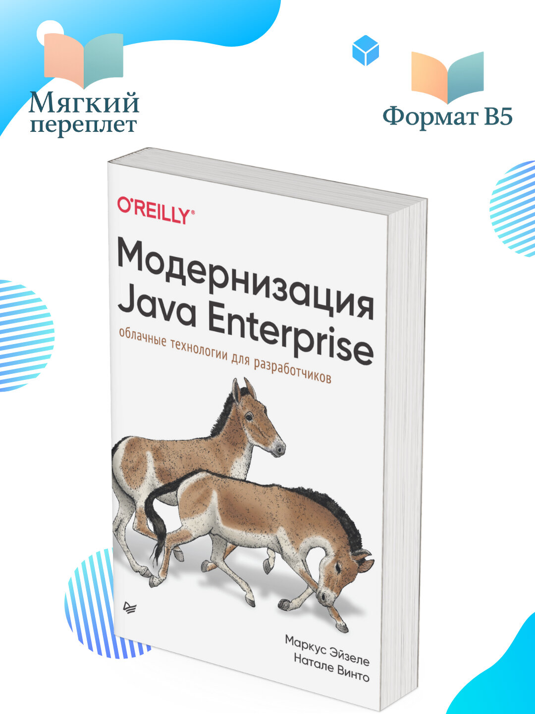 Модернизация Java Enterprise облачные технологии для разработчиков М. Эйзеле, Н. Винто