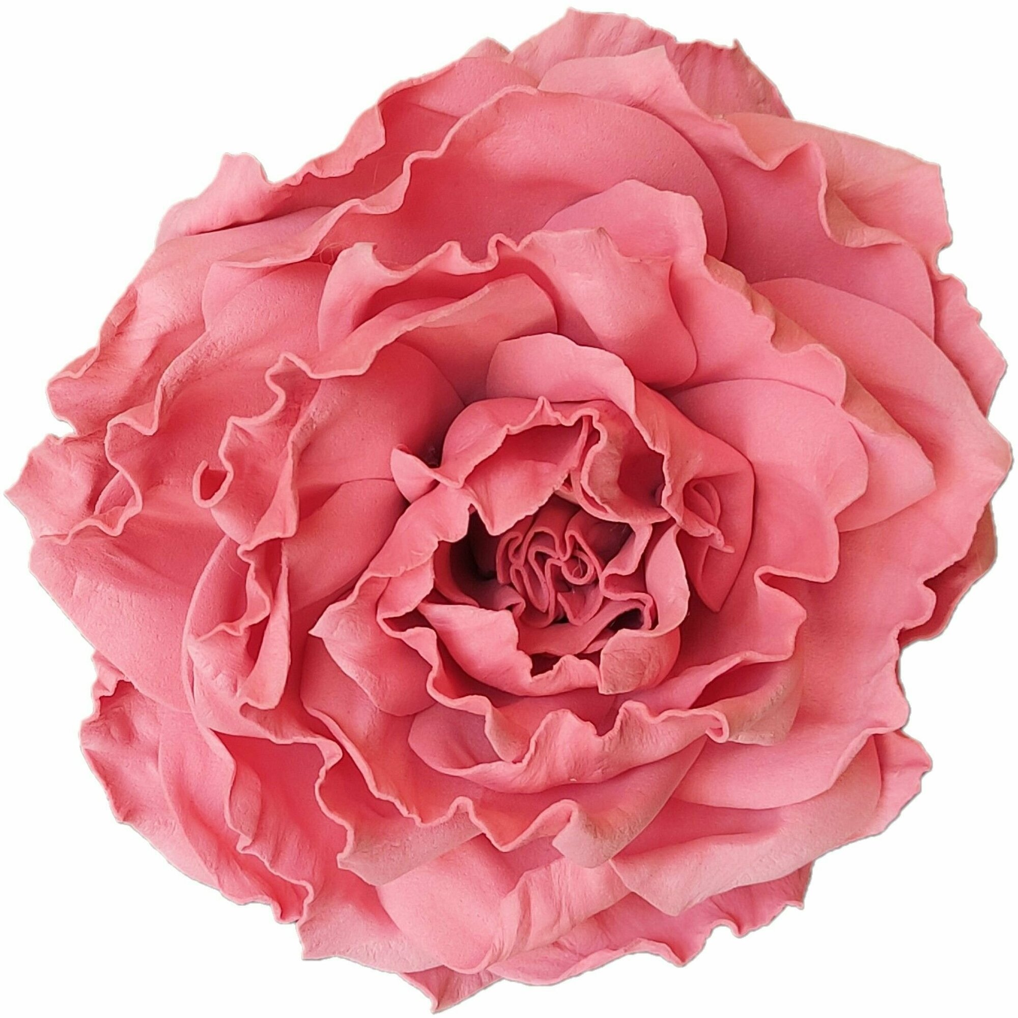 Заколка-брошь для волос/одежды/сумки крупный цветок роза коралловая 0025