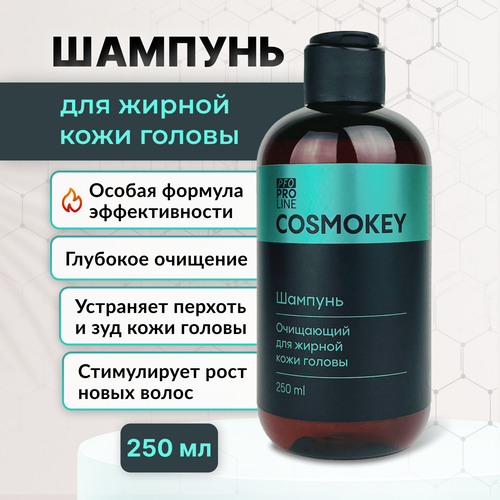 Cosmokey Космокей Шампунь очищающий для жирной кожи головы с кофеином, имбирем и крапивой, 250 мл