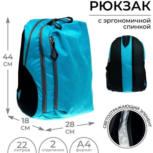 Рюкзак молодёжный, 44 х 28 х 18 см, эргономичная спинка, Calligrata 