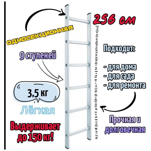 лестница приставная односекционная 1х8 высота max 229 см Лестница приставная односекционная 1х9, Эскальдо, max 256 см