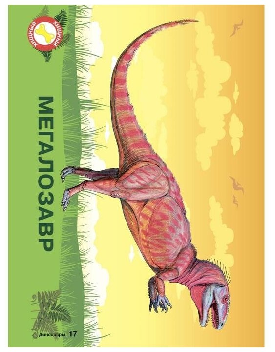 Карточки для умного развития "Динозавры" (34 карточки) Литера - фото №6