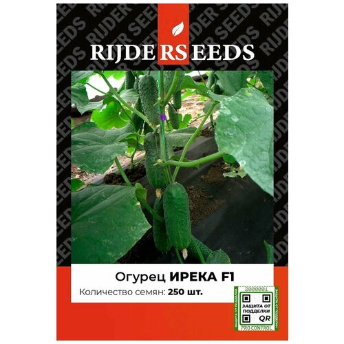 Семена огурца Ирека F1 - 250 шт - Добрые Семена. ру