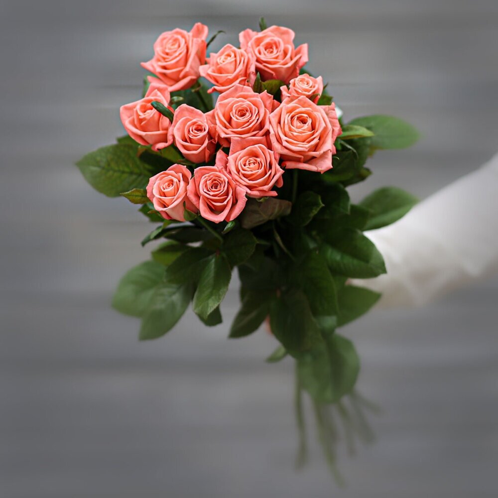 Букет живых цветов из 11 коралловых роз (Россия) с лентой 60 см