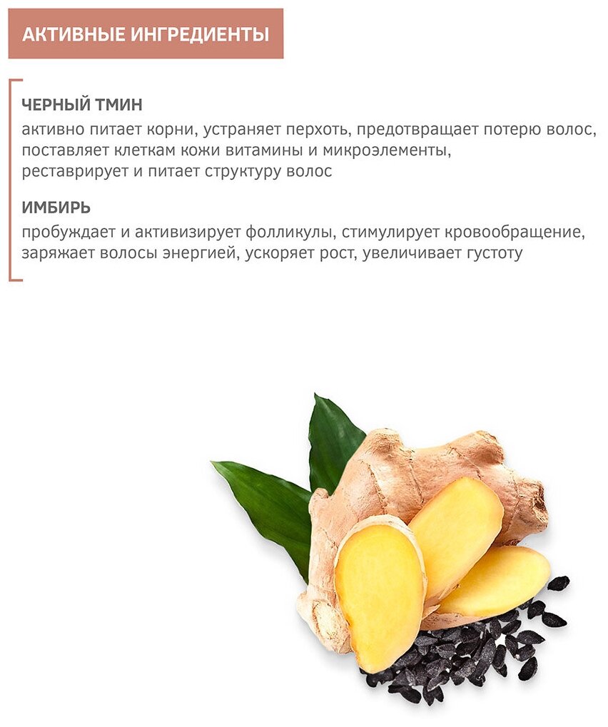 Шампунь для волос и бороды укрепляющий для мужчин с имбирем и черным тмином Zeitun 250мл ДжиЭсЭс косметикс ООО - фото №11