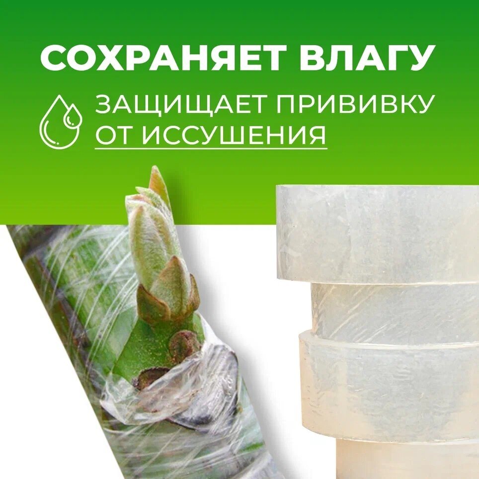 Лента для прививки растений Grafting Tape / Прививочная лента 3 см - 2 штуки 150м - фотография № 3