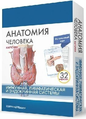 Сапин М. Р, Николенко В. Н, Тимофеева М. О. "Анатомия человека: карточки (32шт). Иммунная, лимфатическая и эндокринная системы"