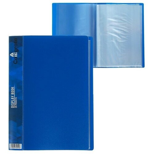 Папка с 20 вкладышами А5, 500 мкм, Calligrata, 9 мм, карман на корешке, синяя папка с 20 вкладышами а5 600 мкм 9 мм синяя
