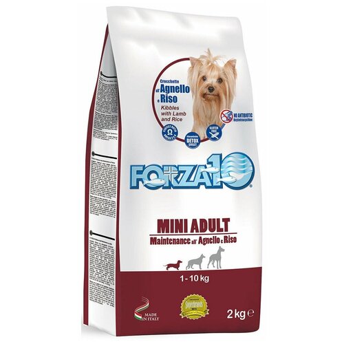 Полнорационный сухой корм Forza 10 Maintenance Agnello/Riso Small/Medium (ягнёнок и рис) для собак мелких пород из ягненка и риса 2 кг