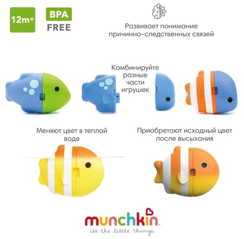 Набор для ванной Munchkin ColorMix Fish, разноцветный