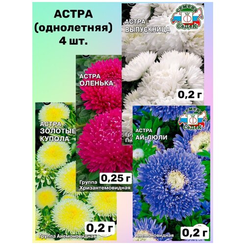 Семена цветов/Набор астра однолетняя, хризантемовидная, анемоновидная, пионовидная