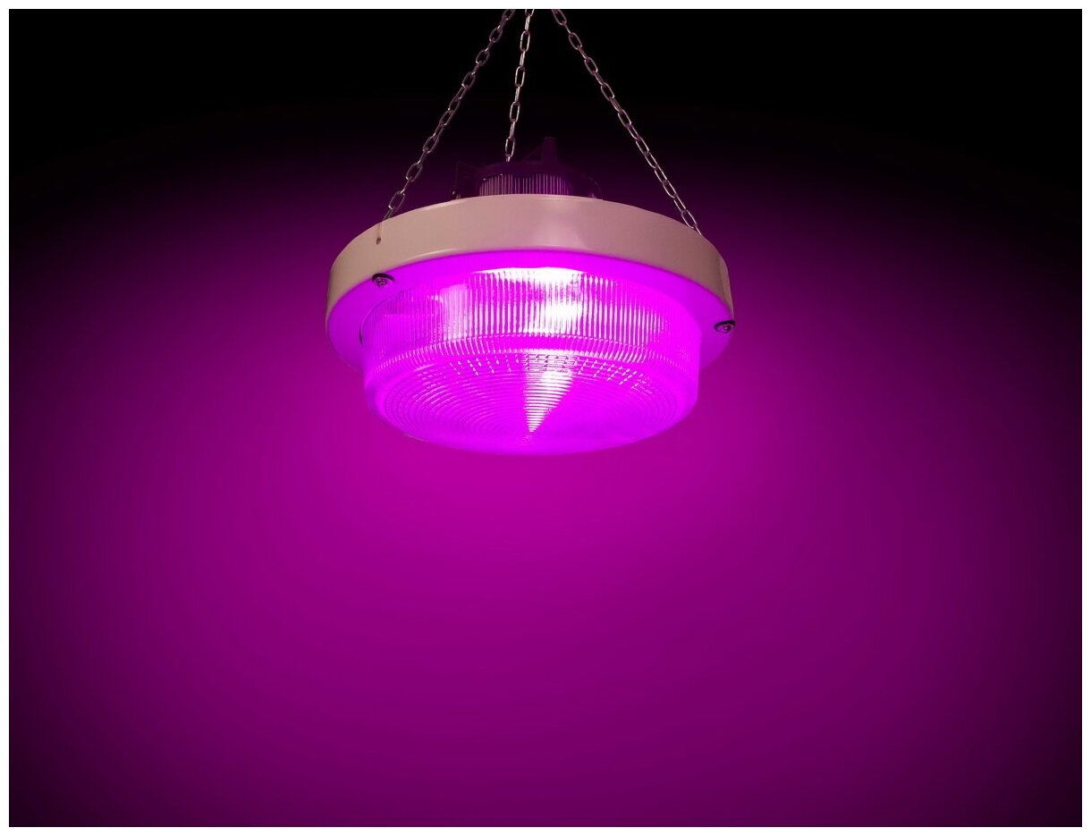 Мощный LED светильник для гроубоксов и теплиц "Хедус" 200 Вт, 24.000 lux - фотография № 2
