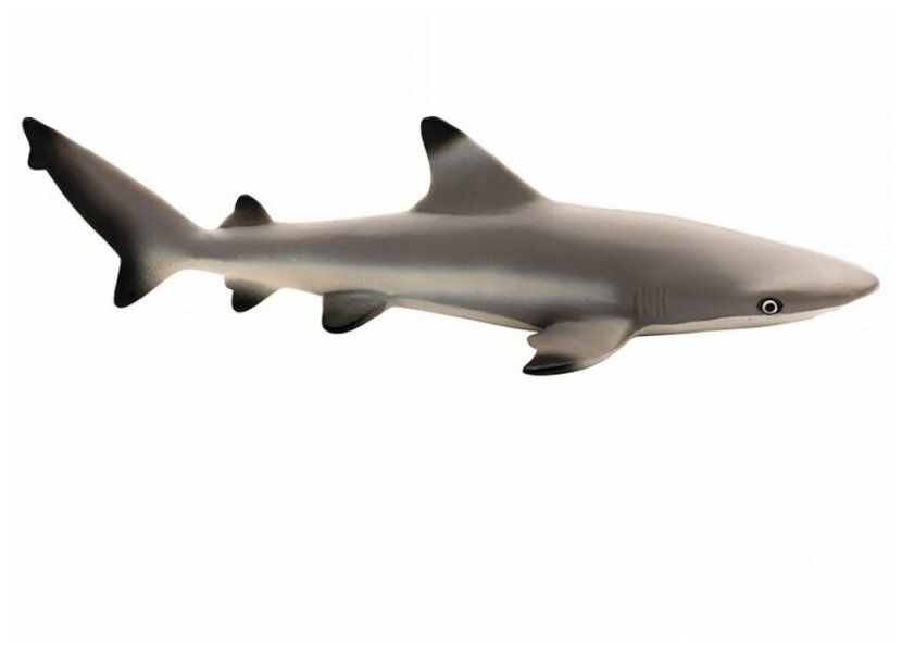 Фигурка игрушка Рифовая акула Рыбы Black Tip Reef Shark Safari Ltd 200029