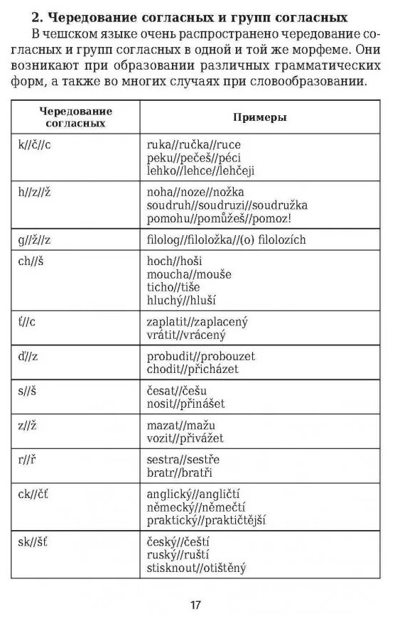 Чешский язык: грамматика в таблицах и схемах - фото №7