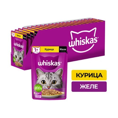 Корм консервированный для взрослых кошек WHISKAS желе с курицей, 75г, 24 упаковки.