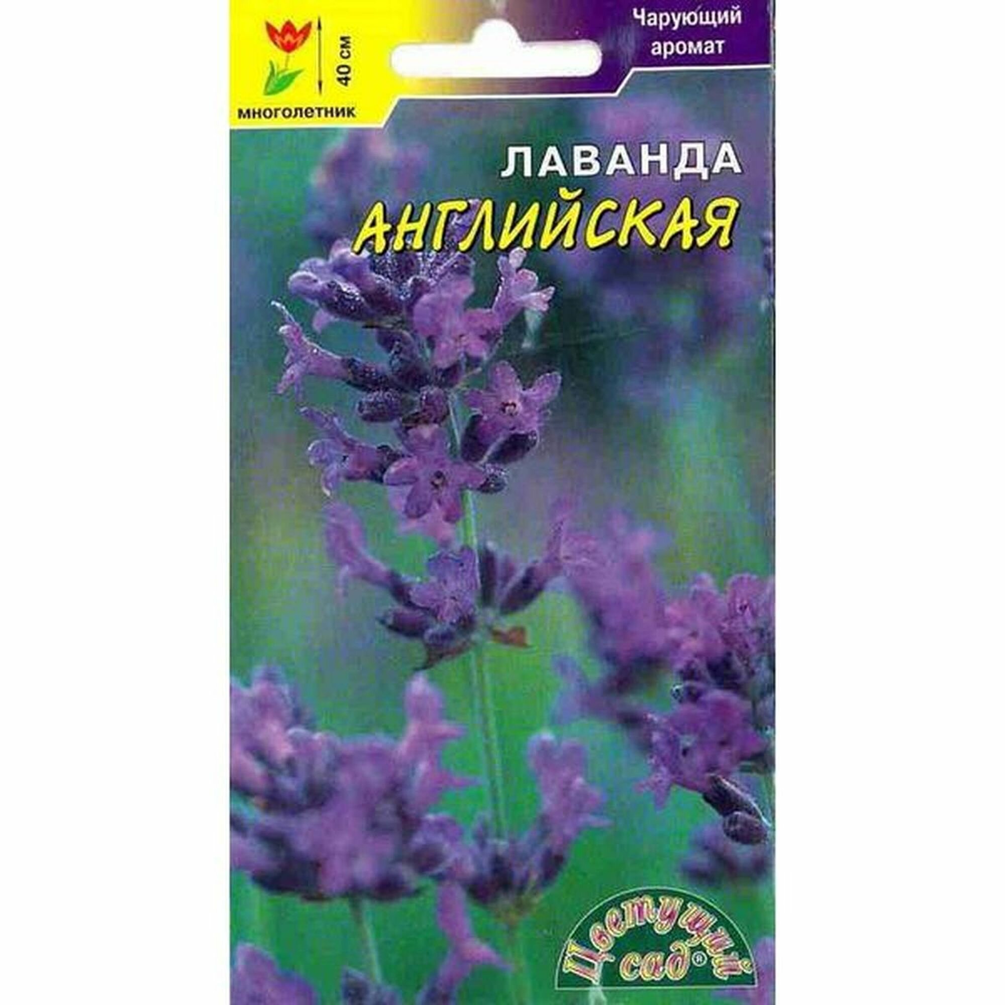 Семена Лаванда Английская  многолетние  Цветущий Сад  1 пачка   0 1г семян