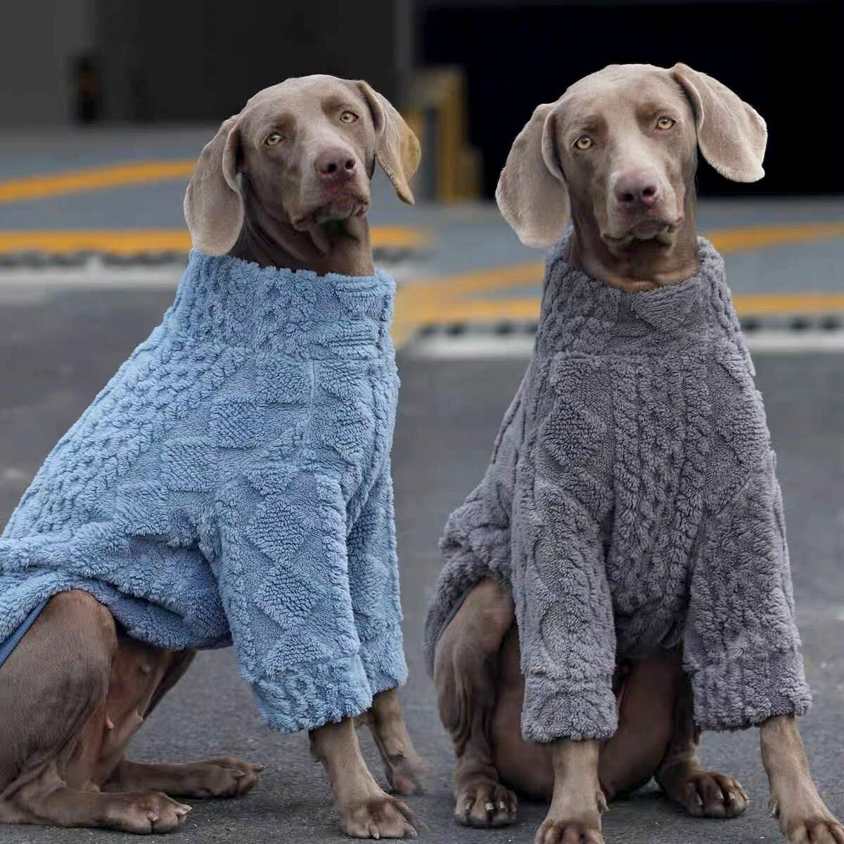 Зимняя одежда для собак Синий XL