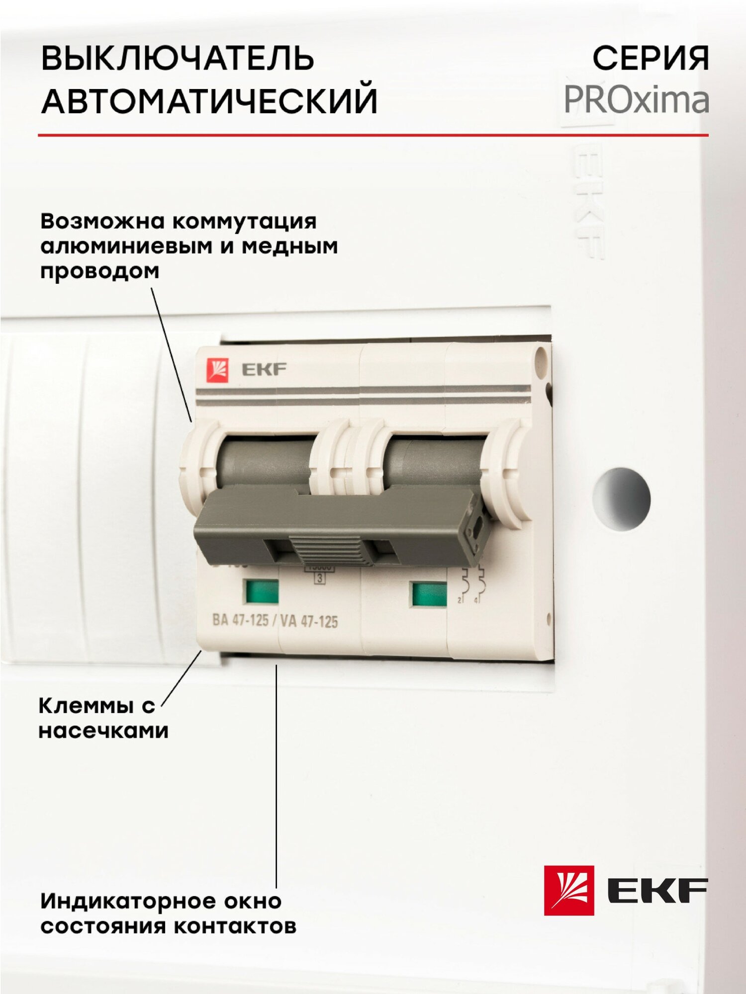 Автоматический выключатель ВА 47-125 2P 100А (C) 15кА PROXIMA EKF