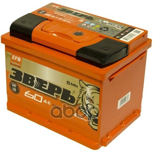 60 Ач Efb П/П (670А Д*Ш*В 24,2*17,5*19 См) зверь арт. ZVEFB60ЗL