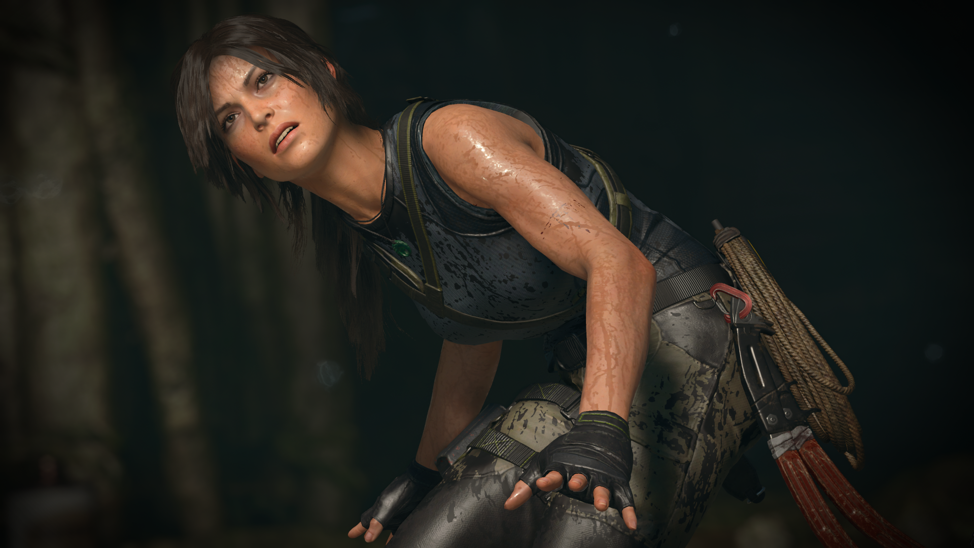 Tomb raider for steam фото 42