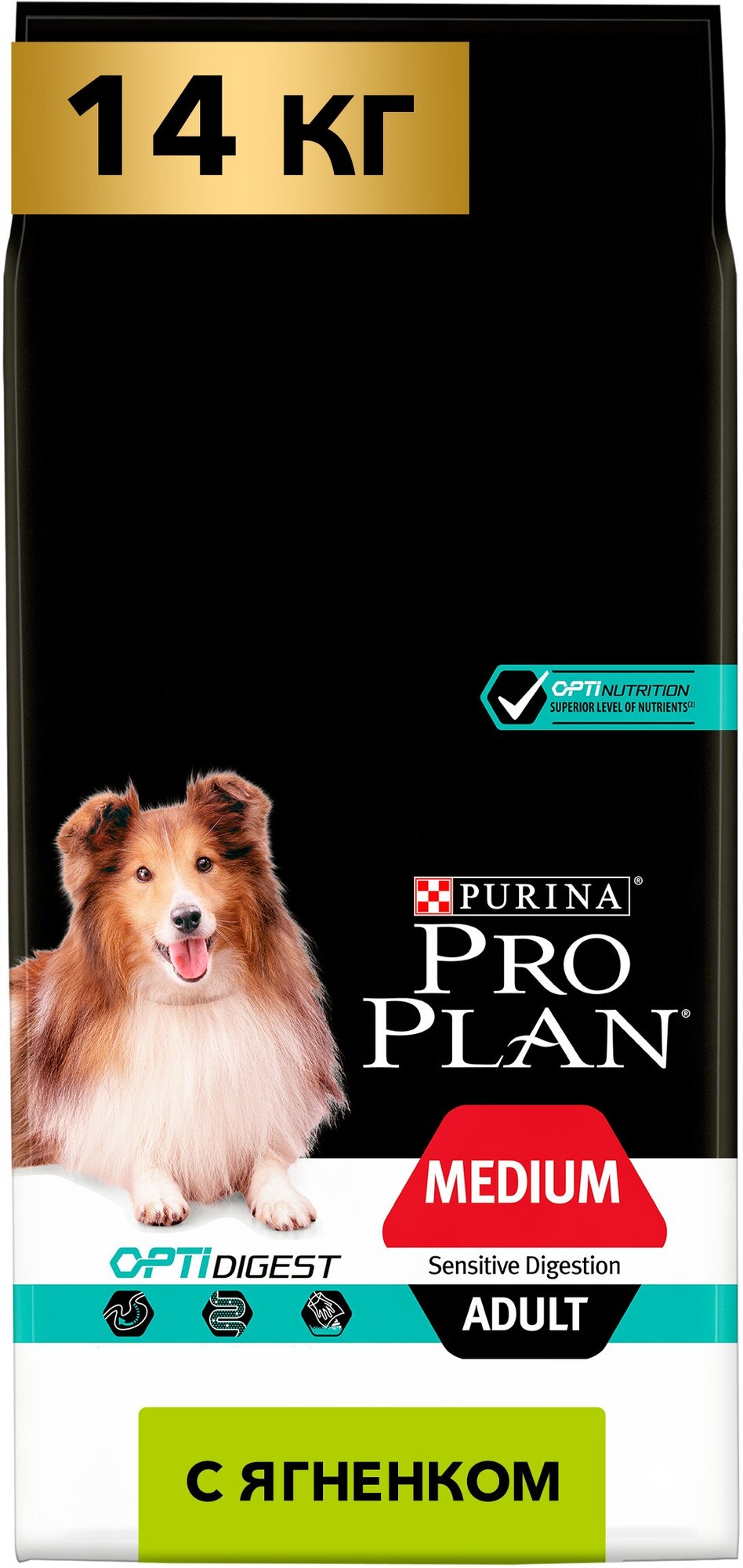 Pro Plan        ,     14 