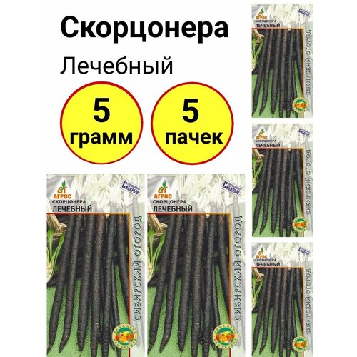 Скорцонера Лечебный 1г, Агрос - комплект 5 пачек базилик коричный 1г ср агрос 10 пачек семян