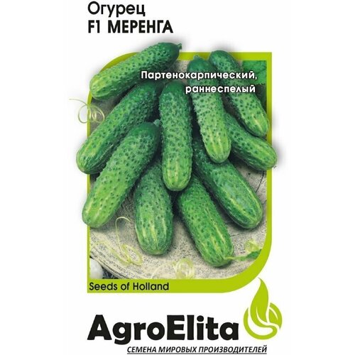 Семена Огурец Меренга F1, 5шт, AgroElita, Seminis