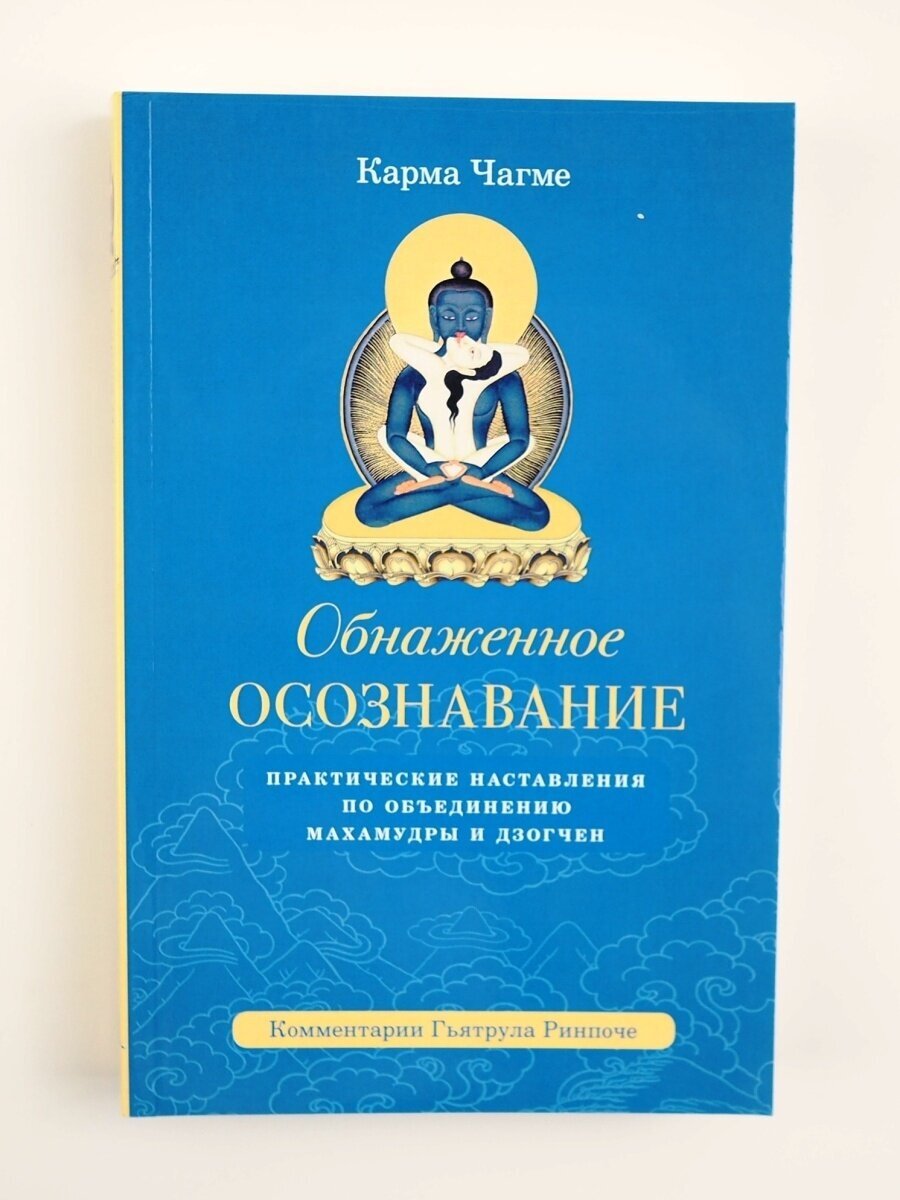 Обнаженное осознавание. Практические наставления по объединению махамудры и дзогчен - фото №2